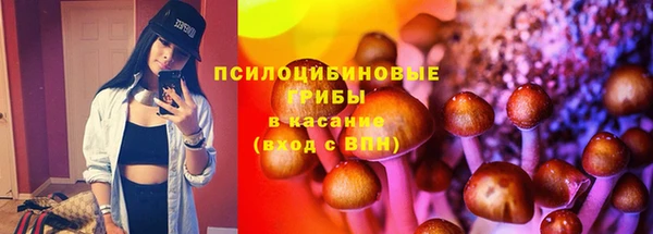 стаф Алексин