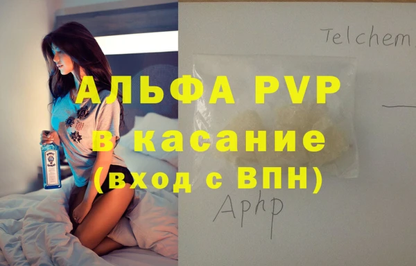 стаф Алексин