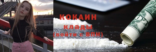 стаф Алексин