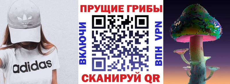 Псилоцибиновые грибы MAGIC MUSHROOMS  наркота  Неман 