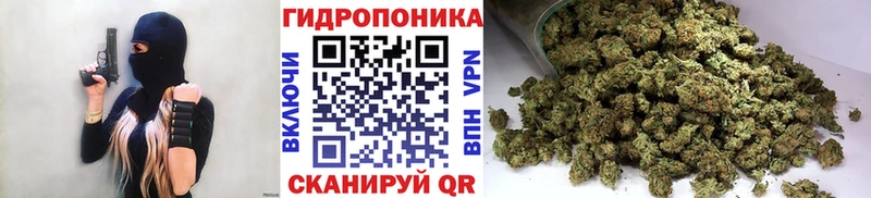 Шишки марихуана ГИДРОПОН где купить наркоту Неман